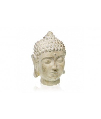 BUDDHA'S HEAD MODEL...
