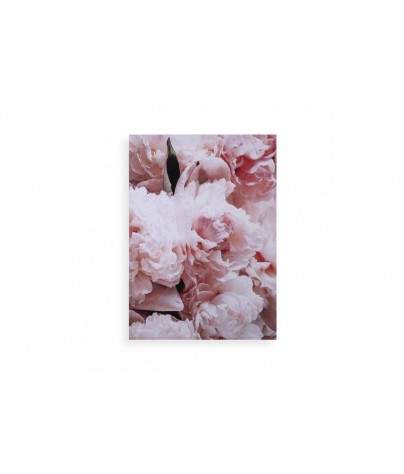 PINK CARNATIONS CANVAS 50X70
