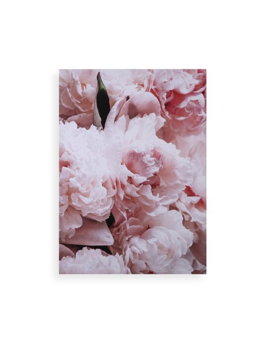 Decoración Floral Elegante | Sistemas David Decoración Floral Elegante | Sistemas David