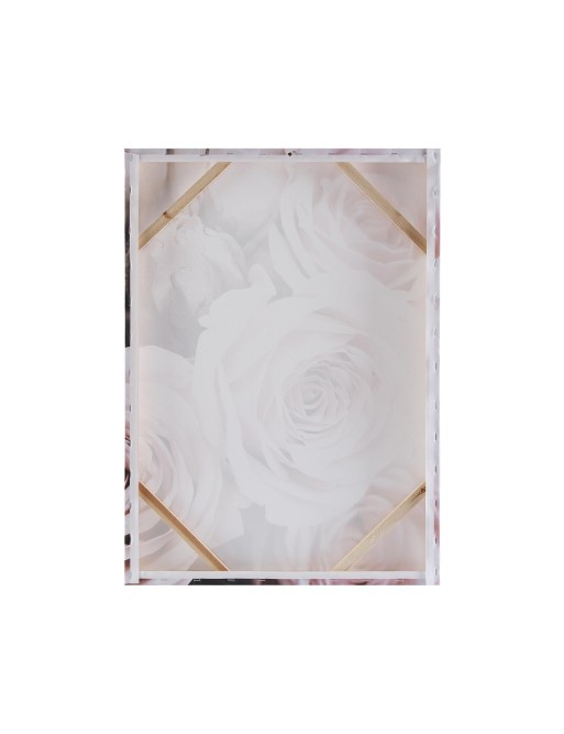 LIENZO 50X70CM MODELO ROSA LIENZO 50X70CM MODELO ROSA