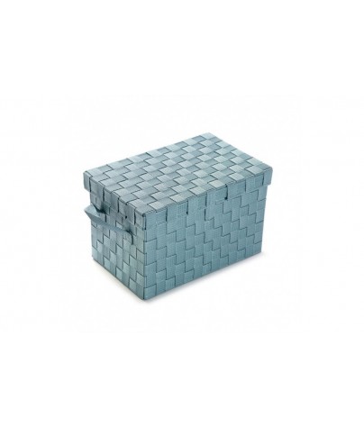 LARGE BLUE BOX LEO MODEL