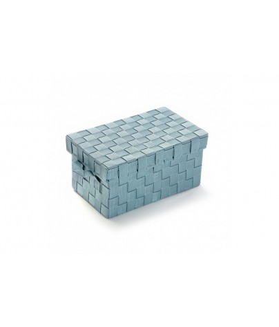 SMALL BLUE BOX LEO MODEL