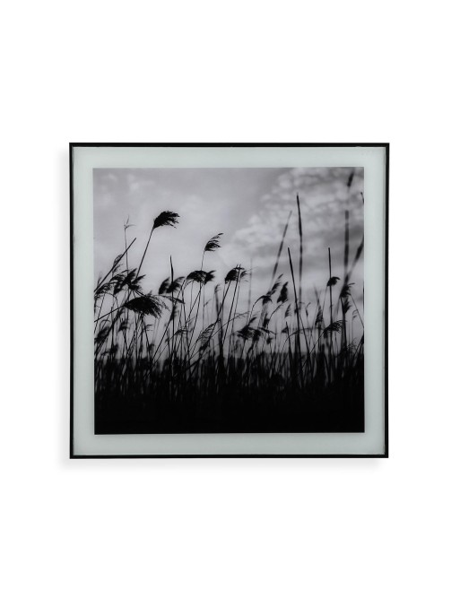 SCHWARZ-WEISS WANDGEMÄLDE 50X50CM WINDMODELL SCHWARZ-WEISS WANDGEMÄLDE 50X50CM WINDMODELL