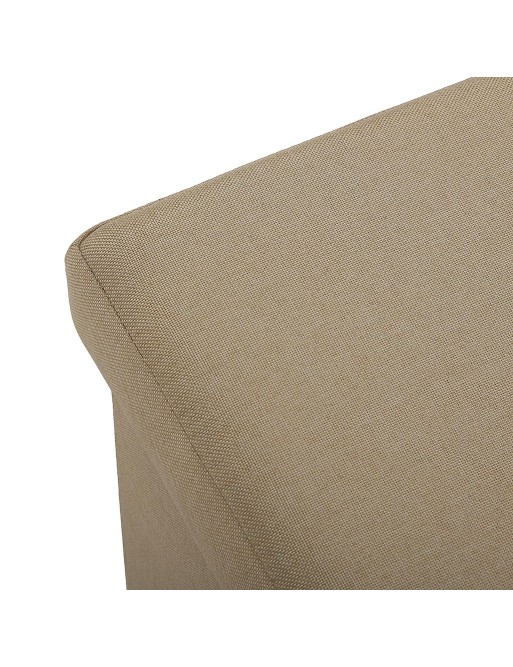 BEIGE LONG DETACHABLE TRUNK. MODEL LINE 2