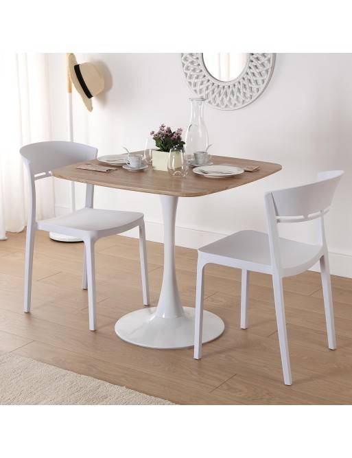 CHAISE BLANCHMODÈLE DE CHAISE BLANCHE-NEIGE CHAISE BLANCHMODÈLE DE CHAISE BLANCHE-NEIGE