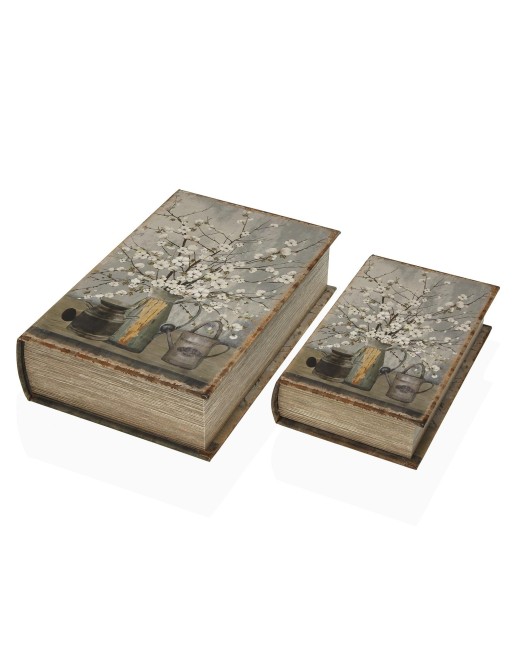 LOT DE 2 LIVRES DE MODÈLES DE FLEURS EN COTON