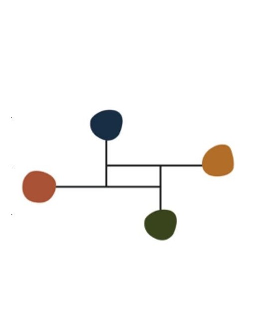 PERCHERO DE PARED CON 4 PERCHAS MODELO VIVAR