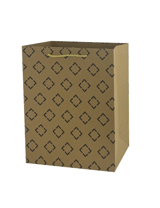 PACK OF 8 LARGE PAPER BAGS MODEL GIFT