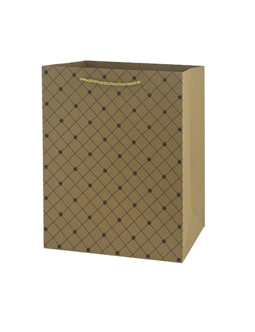 PACK OF 8 LARGE PAPER BAGS MODEL GIFT