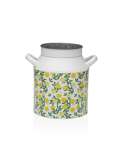 METALLIC VASE MODEL CITRO