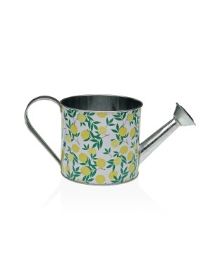 CANETTE DE DOUCHE MÉTALLIQUE MODÈLE CITRO