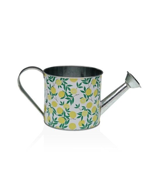 CANETTE DE DOUCHE MÉTALLIQUE MODÈLE CITRO CANETTE DE DOUCHE MÉTALLIQUE MODÈLE CITRO