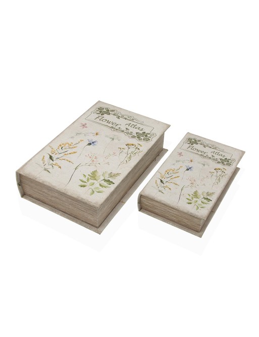 SET MIT 2 AUFBEWAHRUNGSBÜCHERN MODELL ATLAS BLUME