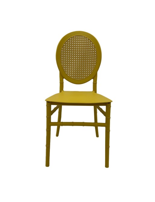 SILLA MODELO ANTRA MOSTAZA SILLA MODELO ANTRA MOSTAZA