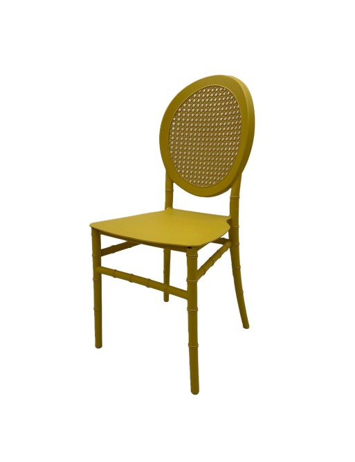 ANTRA MUSTARD MODEL CHAIR