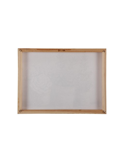 CUADRO LIENZO PLANTAS NATURE 30 X 40 CM