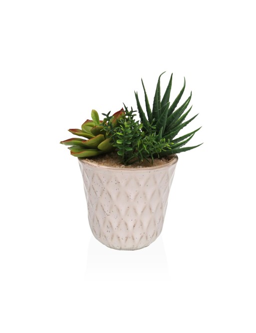 POT EN CÉRAMIQUE AVEC PLANTE ARTIFICIELLE SUCCULENTE MODÈLE - 14x7,8 CM POT EN CÉRAMIQUE AVEC PLANTE ARTIFICIELLE SUCCULENTE MODÈLE - 14x7,8 CM