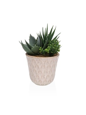 CERAMIC POT WITH ARTIFICIAL PLANT MODEL SUCCULENT 2