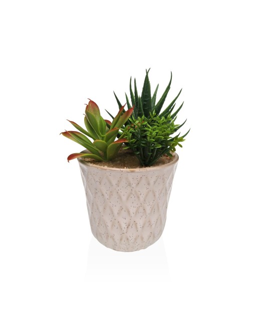 POT EN CÉRAMIQUE AVEC PLANTE ARTIFICIELLE MODÈLE SUCCULENT 3 POT EN CÉRAMIQUE AVEC PLANTE ARTIFICIELLE MODÈLE SUCCULENT 3
