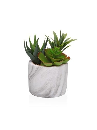 MACETA DE EFECTO MARMOL CON SUCULENTA 2