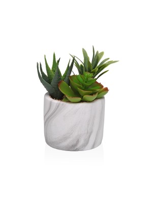 POT EFFET MARBRE AVEC SUCCULENTES 2