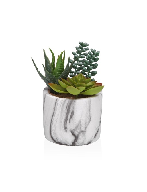 POT EFFET MARBRE AVEC PLANTES ARTIFICIELLES MODÈLE ALOE 2 POT EFFET MARBRE AVEC PLANTES ARTIFICIELLES MODÈLE ALOE 2