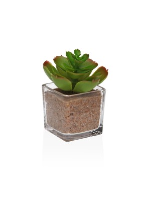 POT EN VERRE MODÈLE CACTUS 1