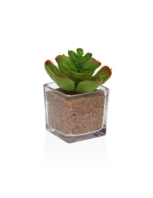 CACTUS MODEL GLASS POT 1
