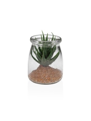 GLASS JAR MODEL ALOE VERA 1