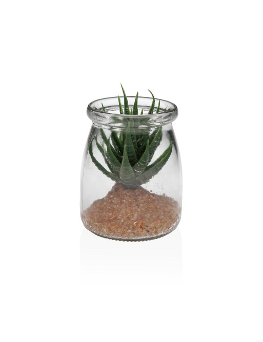 GLASS JAR MODEL ALOE VERA 1