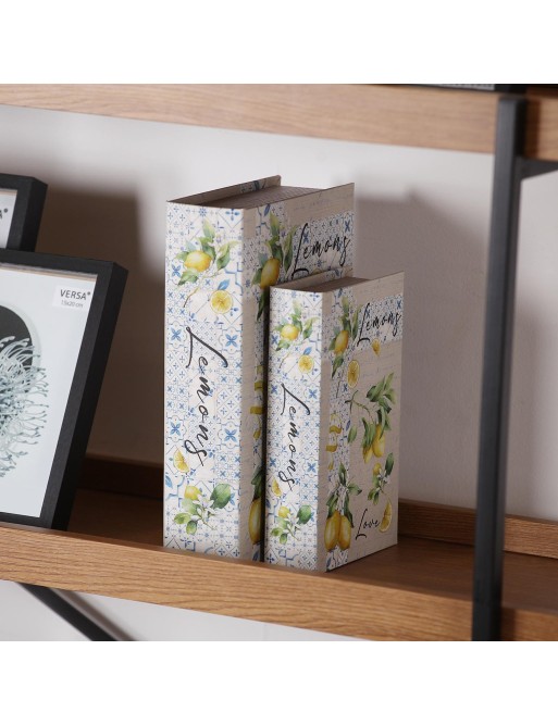 SET DE 2 LIBROS MODELO CITRO