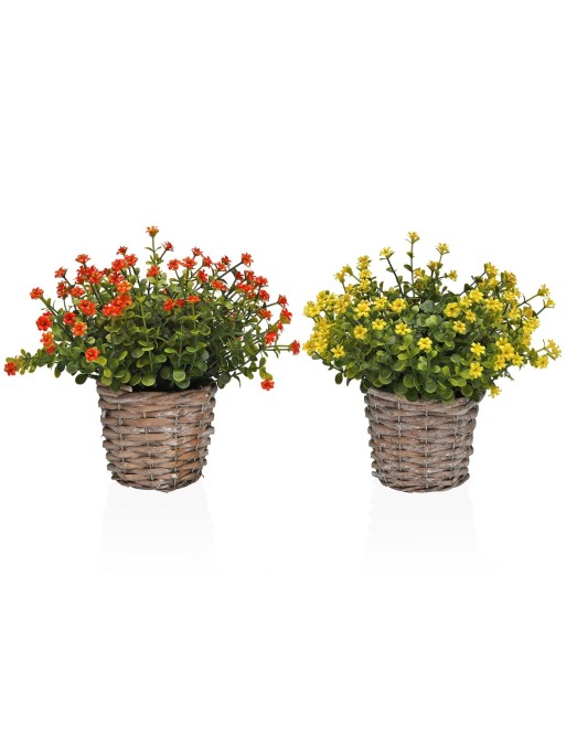 ASSORTIMENT DE DEUX POTS ARTIFICIELS EN IMMORTELLE MODÈLE