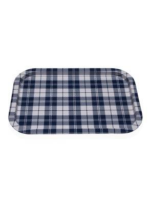 BLUE VICHY MODEL METAL TRAY