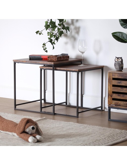 BROWN STRETCHED DOG MODEL DOOR CLOSER BROWN STRETCHED DOG MODEL DOOR CLOSER