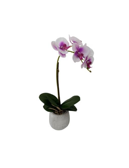 ORQUIDEAS ARTIFICIALES CON MACETA DE CEMENTO SURTIDO DE 3
