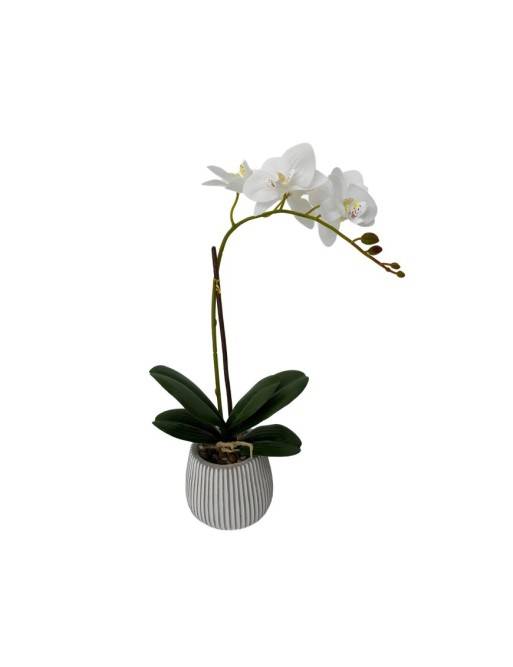 ARTIFICIAL ORCHIDS WITH ASSORTED CEMENT POT OF 3