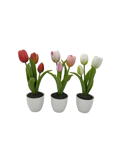TULIPAN CON MACETA DE CERAMICA SURTIDO DE 3