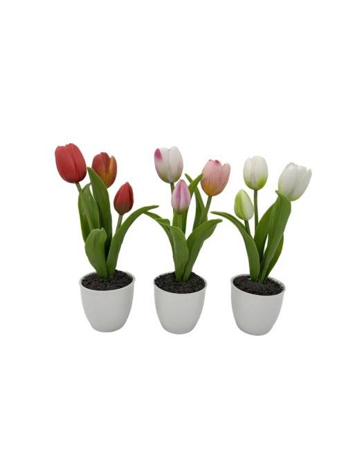 TULIP WITH CERAMIC POT ASSORTMENT OF 3