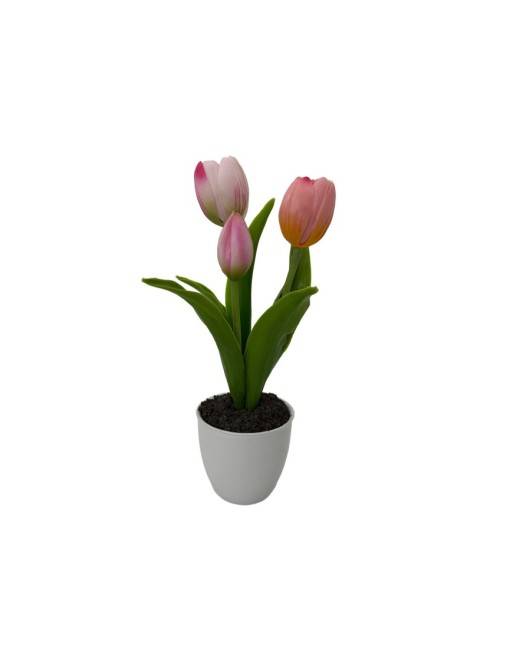 TULIPAN CON MACETA DE CERAMICA SURTIDO DE 3