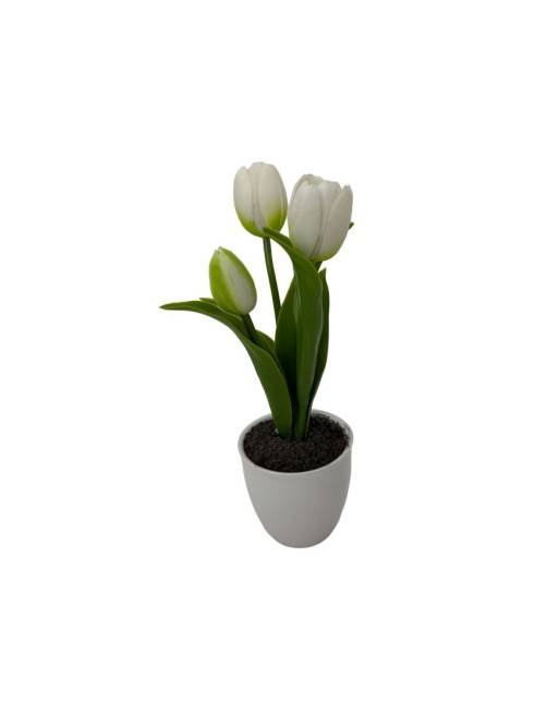 TULPE MIT KERAMIKTOPF-AUSWAHL VON 3
