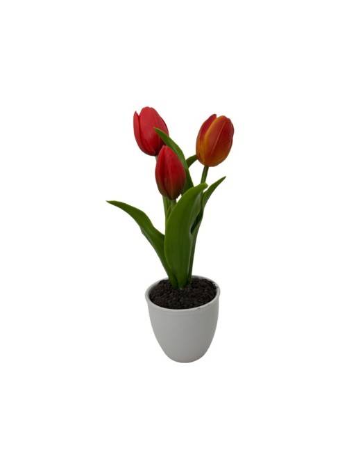 TULIPE AVEC POT EN CÉRAMIQUE ASSORTIMENT DE 3