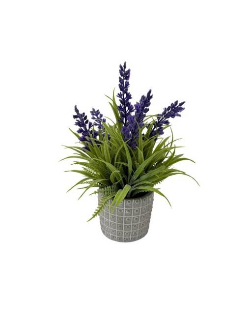 PLANTA DE LAVANDA CON MACETA DE CERAMICA