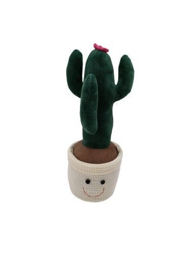 CACTUS MODEL DOOR HOLDER WITH FLOWER