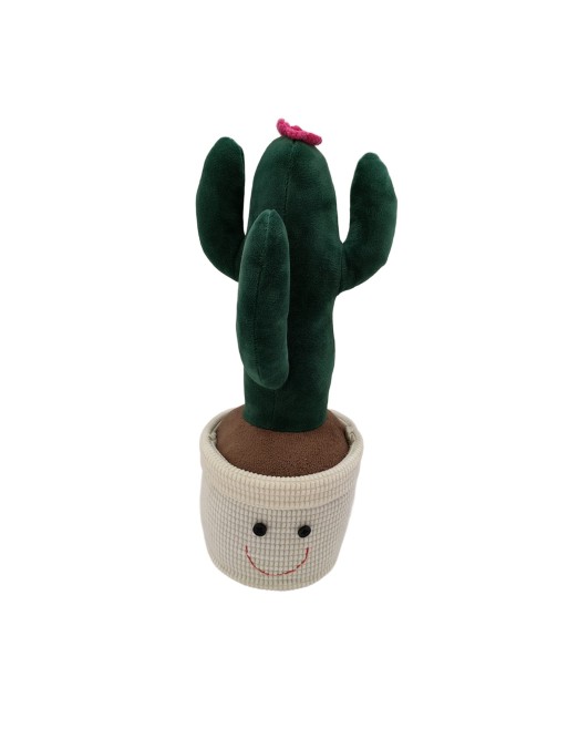 SUJETA PUERTAS MODELO CACTUS CON FLOR