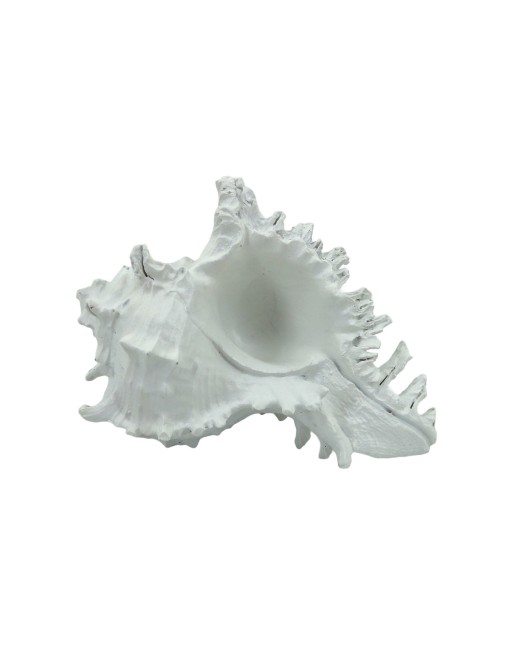 KLEINE MUSCHELMODELLFIGUR