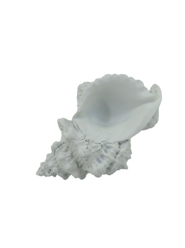 FIGURINE DE MODÈLE DE COQUILLAGES MOYENS