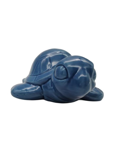 JUMENT MODÈLE DE TORTUE BLEUE