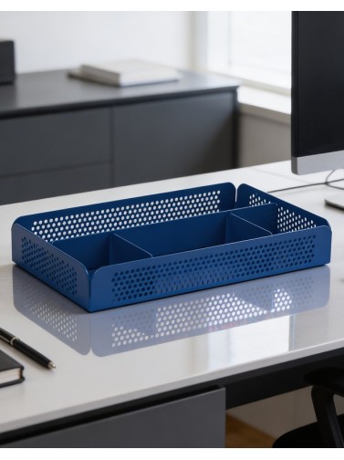 Compartmented tray / Case. Blue color
