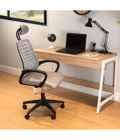 Chaise de bureau réglable en hauteur en gris, modèle "ECOPLUS"
