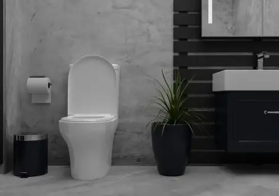 interior-bano-elegancia-moderna-lavabo-ceramica-inodoro-piso-marmol-pared-loft 1.jpg